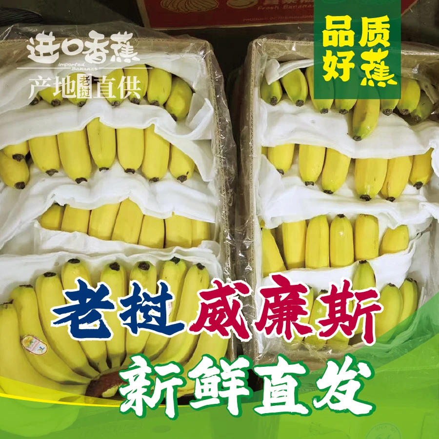 进口当季水果买3斤送2斤净重4.5斤新鲜产地现摘香甜薄皮包邮5斤带箱威廉斯老挝人民民主共和国
