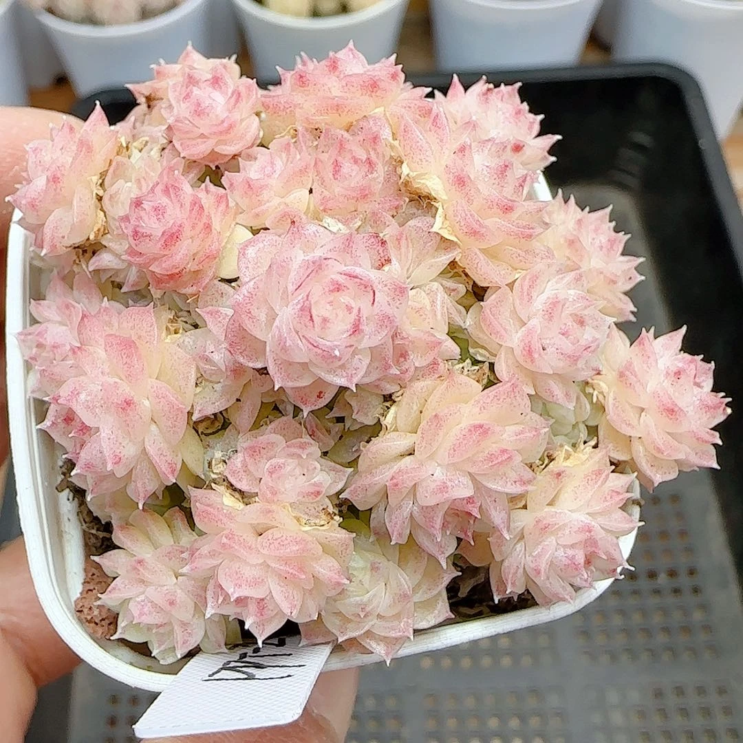 1225-37（ppt-24）优选