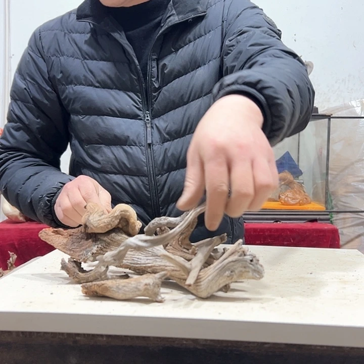 柏木哟***曦我们都是好孩子呀我