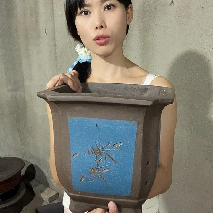 紫砂花盆花盆花盆花盆花盆花盆花盆