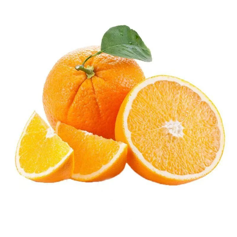 脐橙四川正宗纽荷尔脐橙香甜橙子新鲜采摘60-75mm 坏果包赔