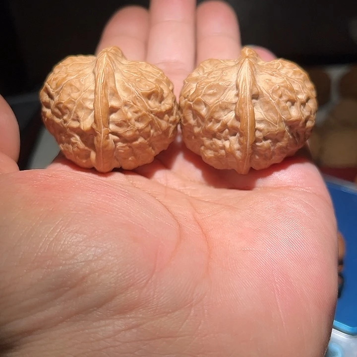 -***仔木43精品南瓜敦。