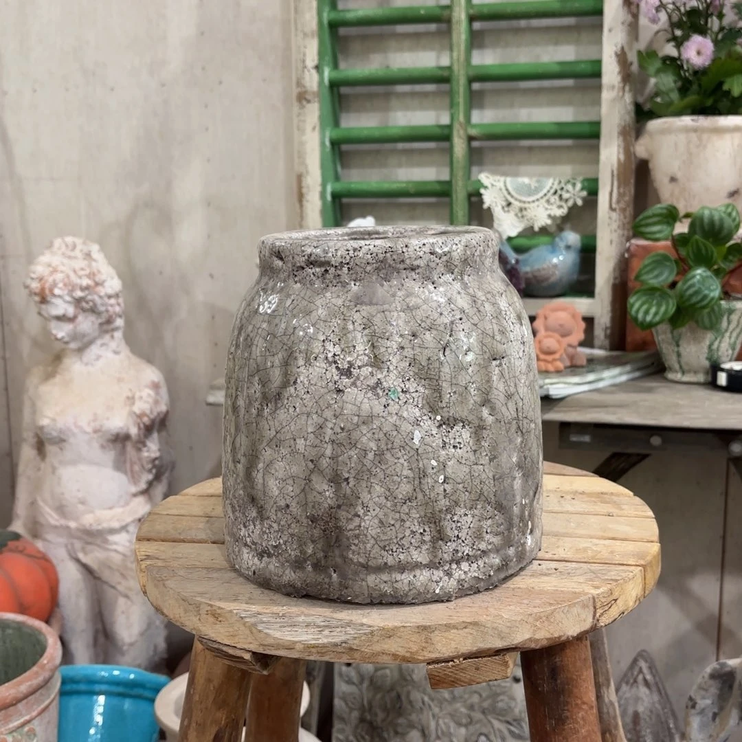 许纯的花房 孤品223