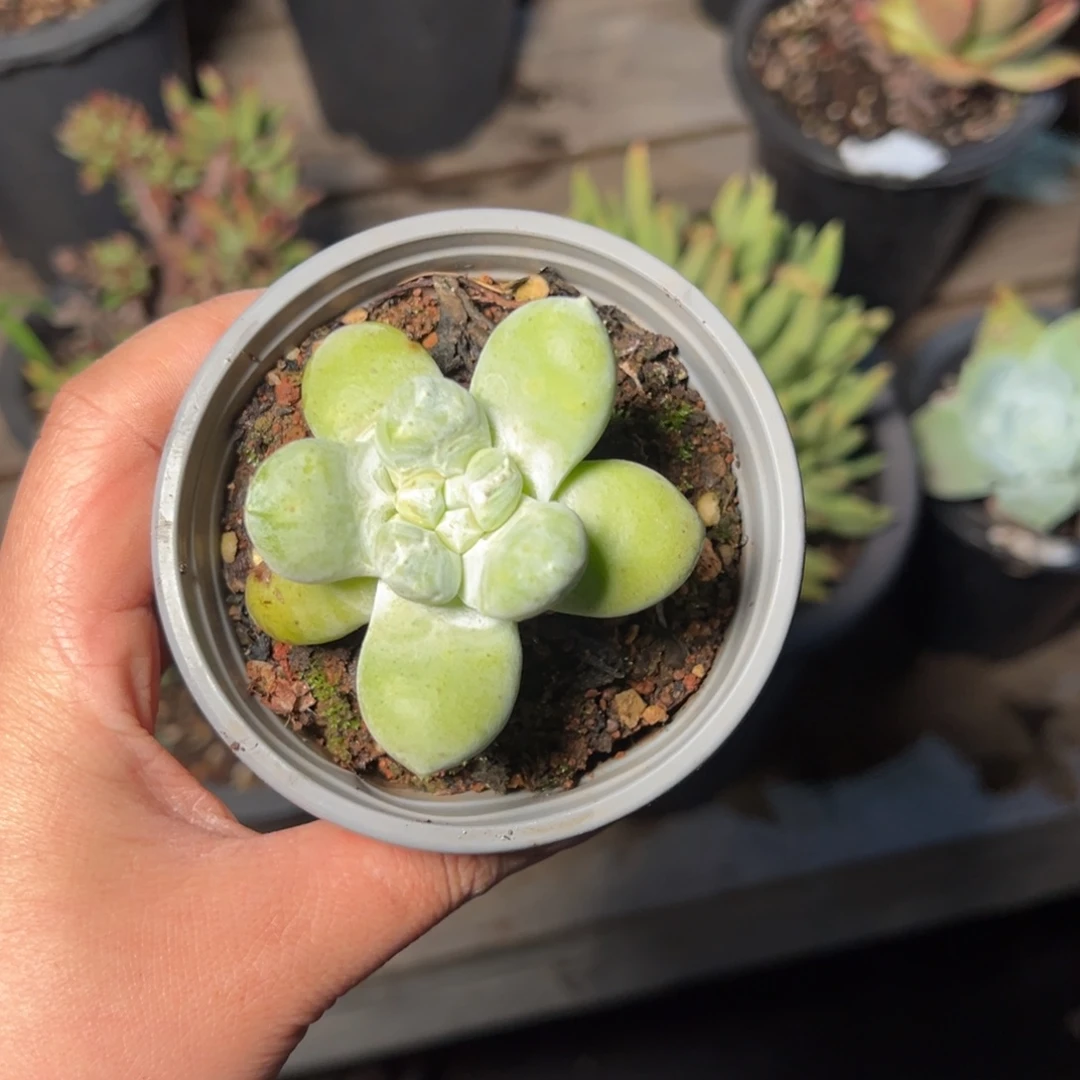 4461哈哈哈哈哈哈哈哈哈