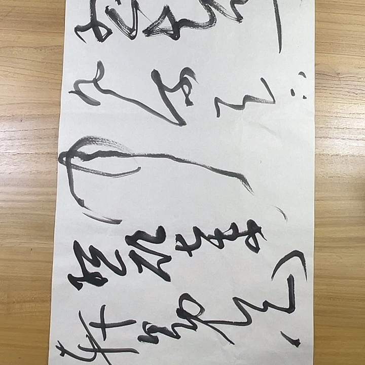 书法中书协老师作品