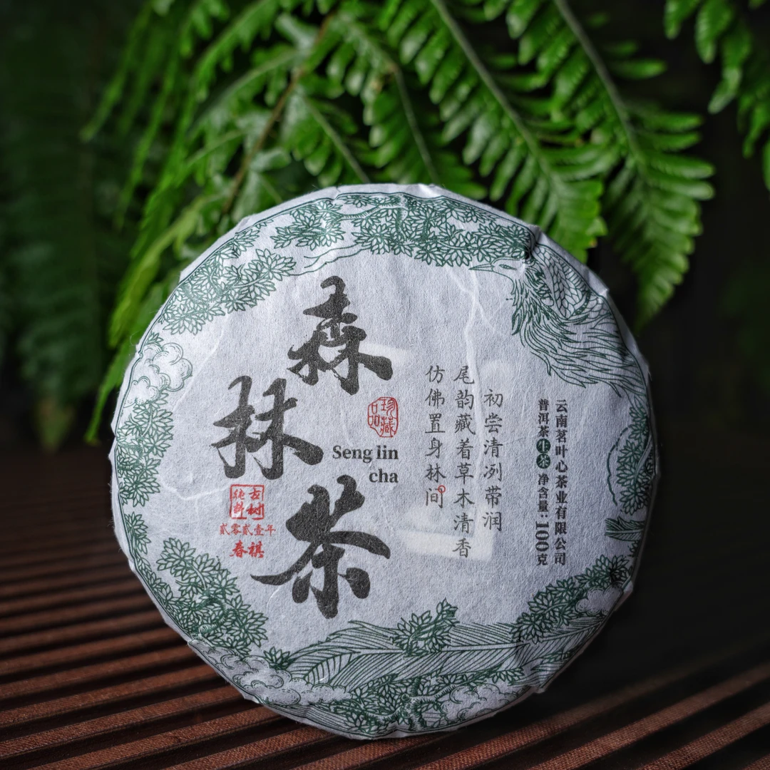 2023年森林茶100g生普