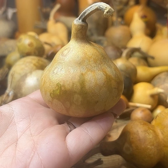 玩**境葫芦葫芦葫芦葫芦