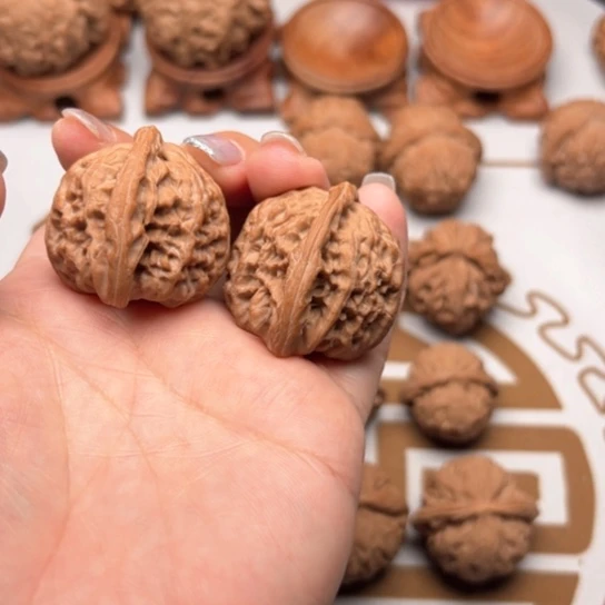 三醋酸纤维房***猴你要好好休息