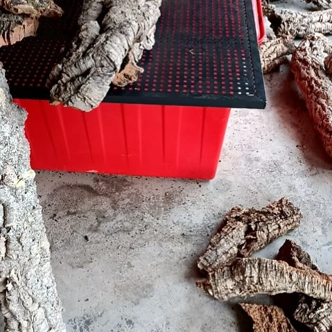 神**y一物一拍一物一发