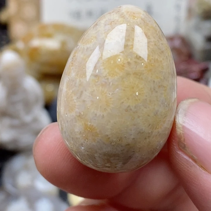 颈饰未镶嵌硅化珊瑚（珊瑚玉）有瑕