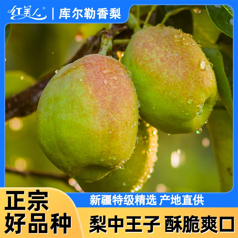 红美人正宗库尔勒香梨脆甜大果当季整箱新鲜水果