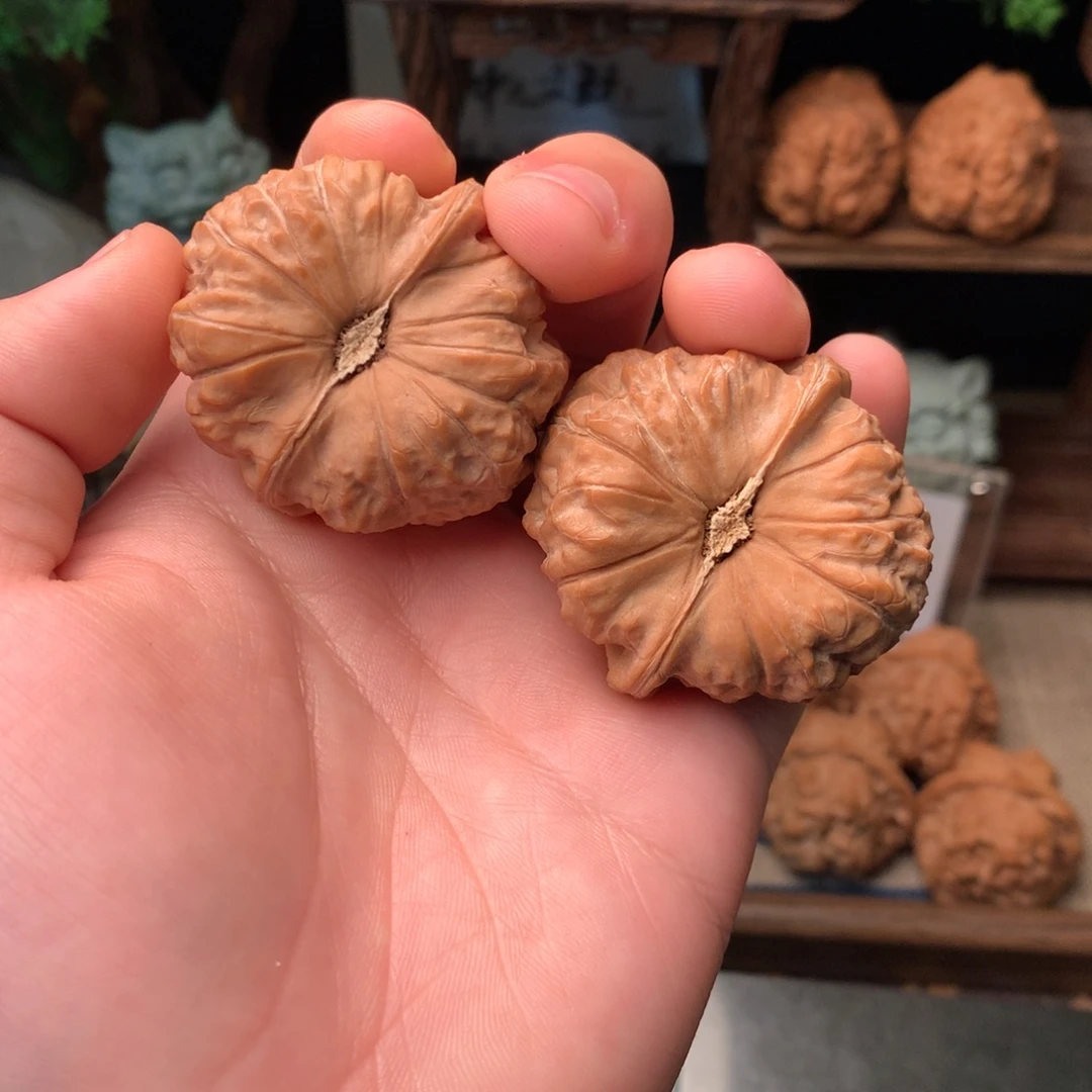 核桃44尺寸南瓜墩
