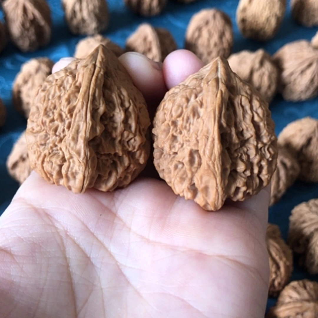 【闪购商品】文玩核桃把件36高炮凹底
