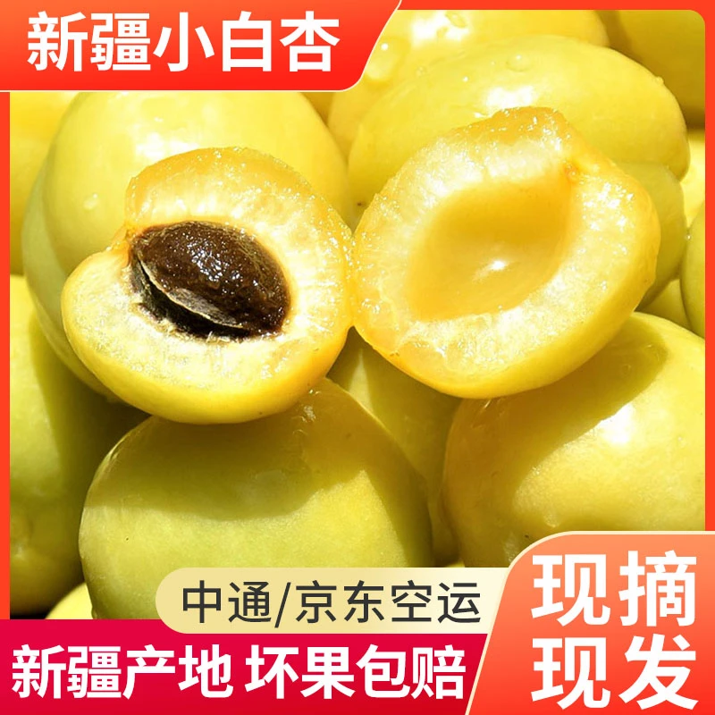 【坏果包赔】新疆轮台库车小白杏3斤/4斤现采现发新鲜水果