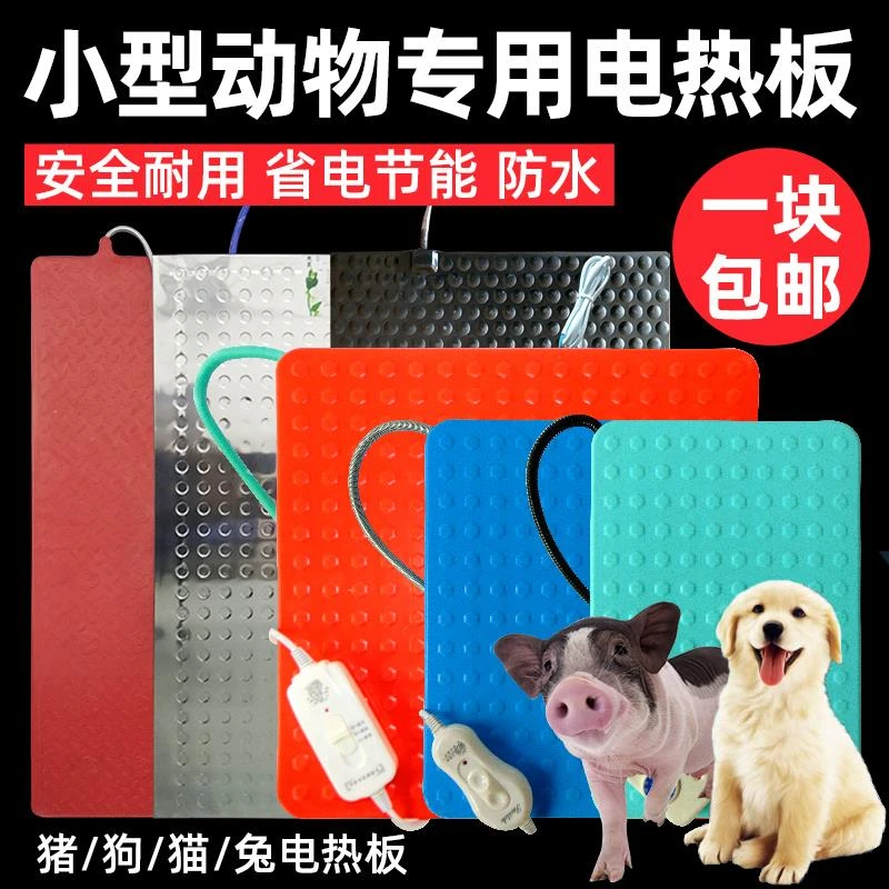 宠物保温板仔猪加热板狗用电热板蛇猫加热毯小型动物取暖设备兽用