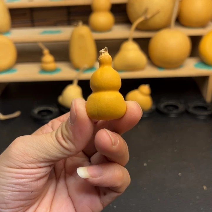 夏*葫芦葫芦葫芦葫芦葫芦葫芦