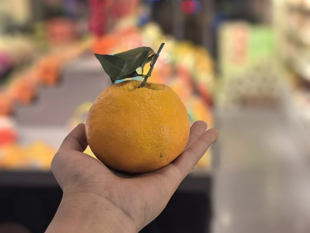 青藤社耙耙柑 500g