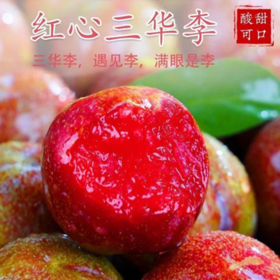 新鲜采摘广西高山红心三华李产地直发