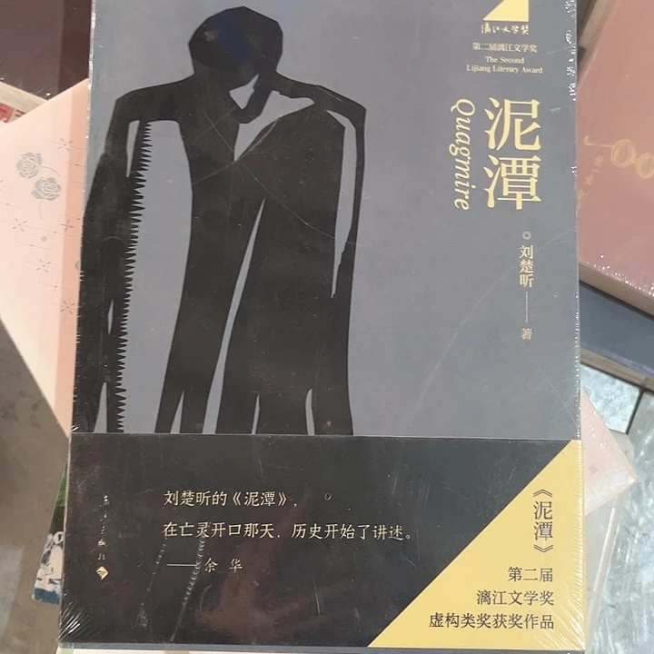 泥潭新书推荐全新