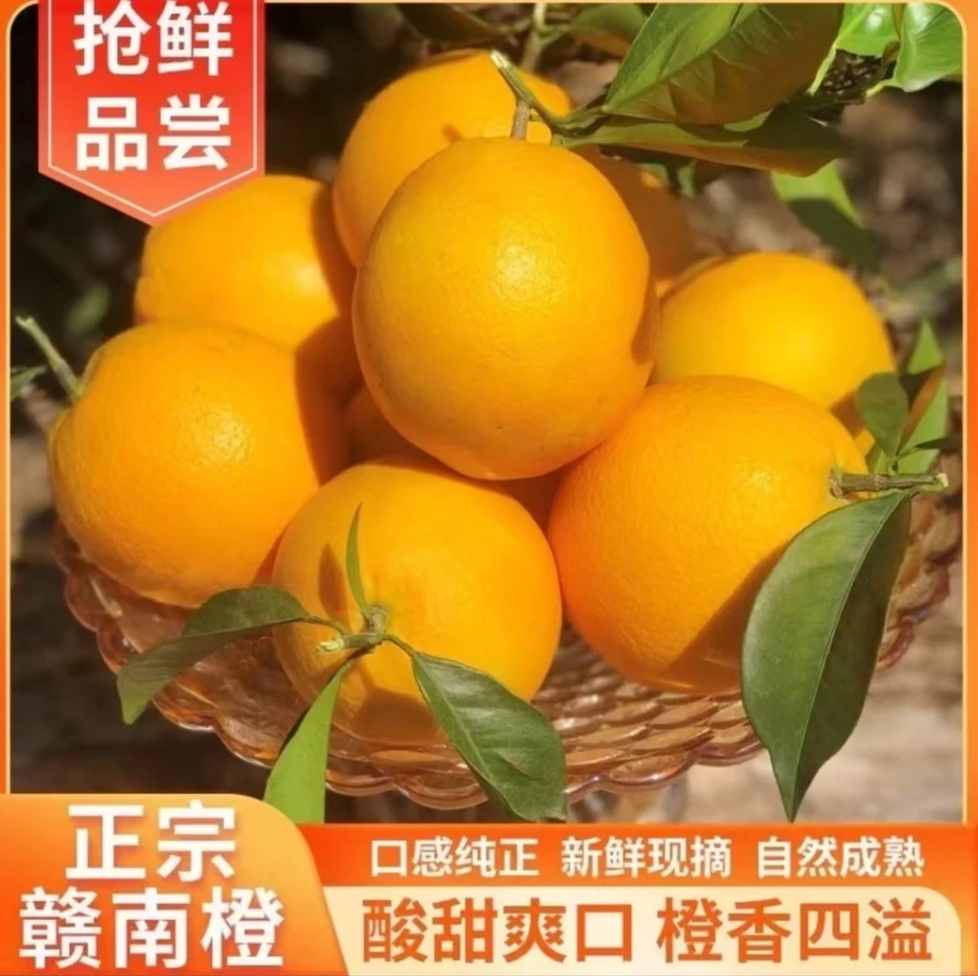 正宗赣南脐橙果园直发新鲜现摘橙子无催熟无添加孕妇精品水果