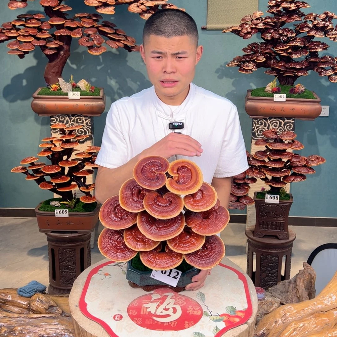 无花朵8888888888888