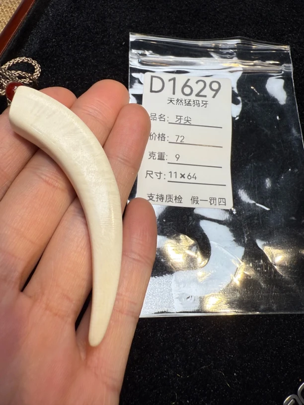 D1629天然猛犸牙牙尖配饰