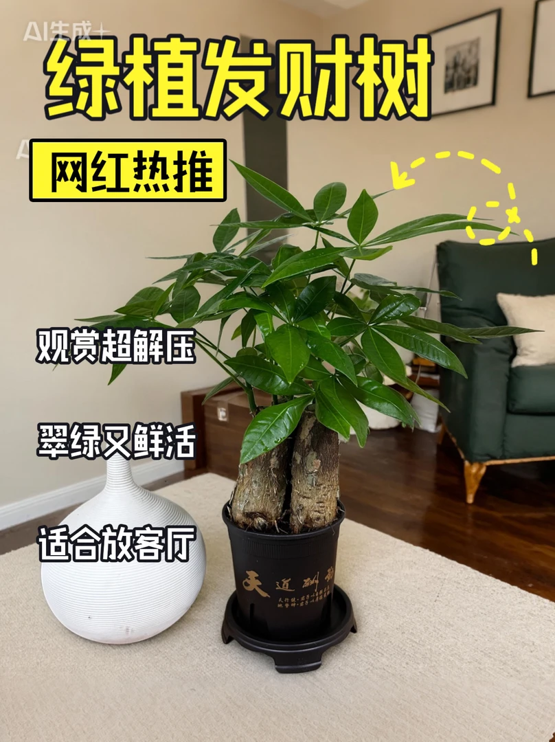 三杆粗壮根系发财树盆栽室内懒人好养活枝繁叶茂点缀装饰绿化护眼