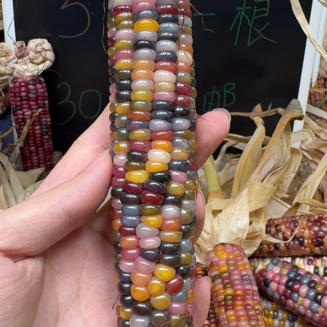 小***筱柏香籽/百香籽吊坠