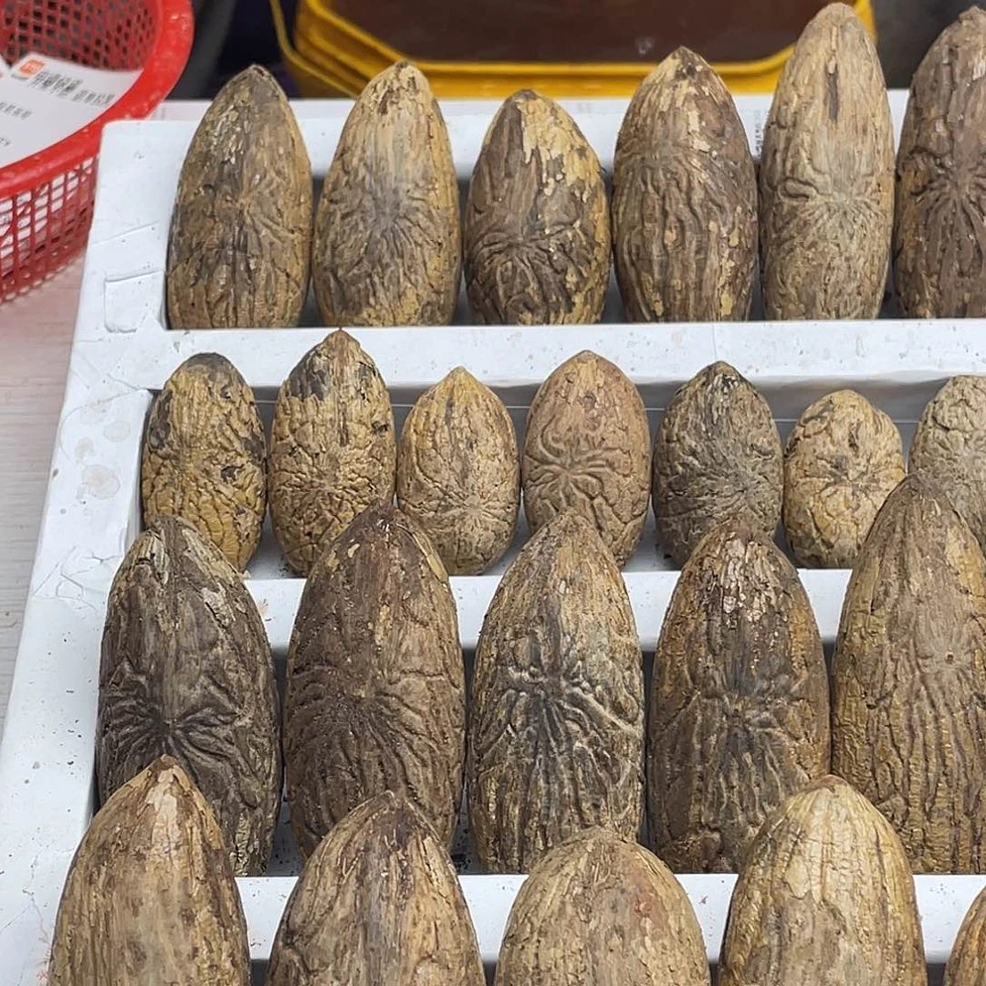 我***哥石英石纯铜12111121111