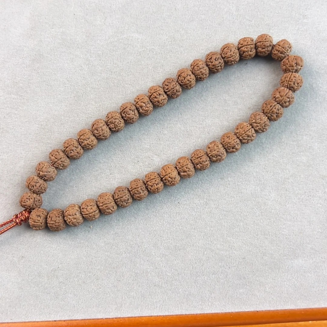 金刚菩提手串纯血勿里达老树王手持10+