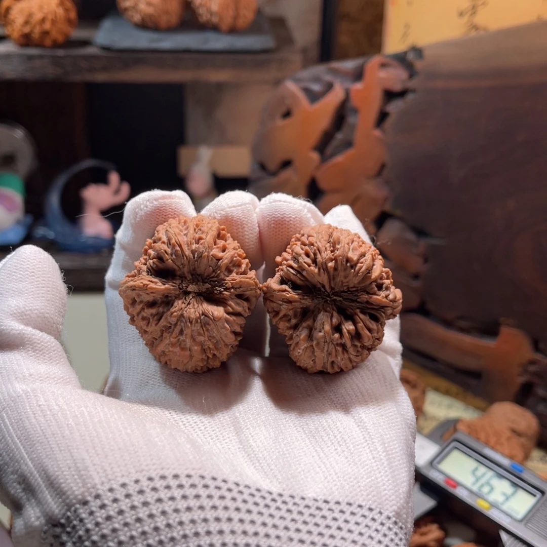迁***文玩核桃把件36大蒜头全品