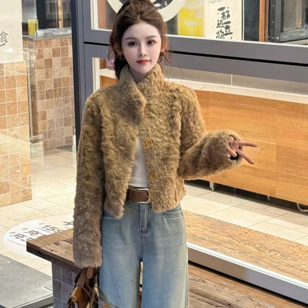 立领短款羊羔绒加厚保暖毛毛外套女秋冬2025新款今年流行爆款上衣