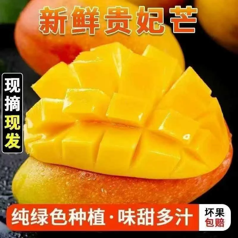《果园直发》广西百色贵妃芒果核小香甜可口汁水充足无丝孕妇可食