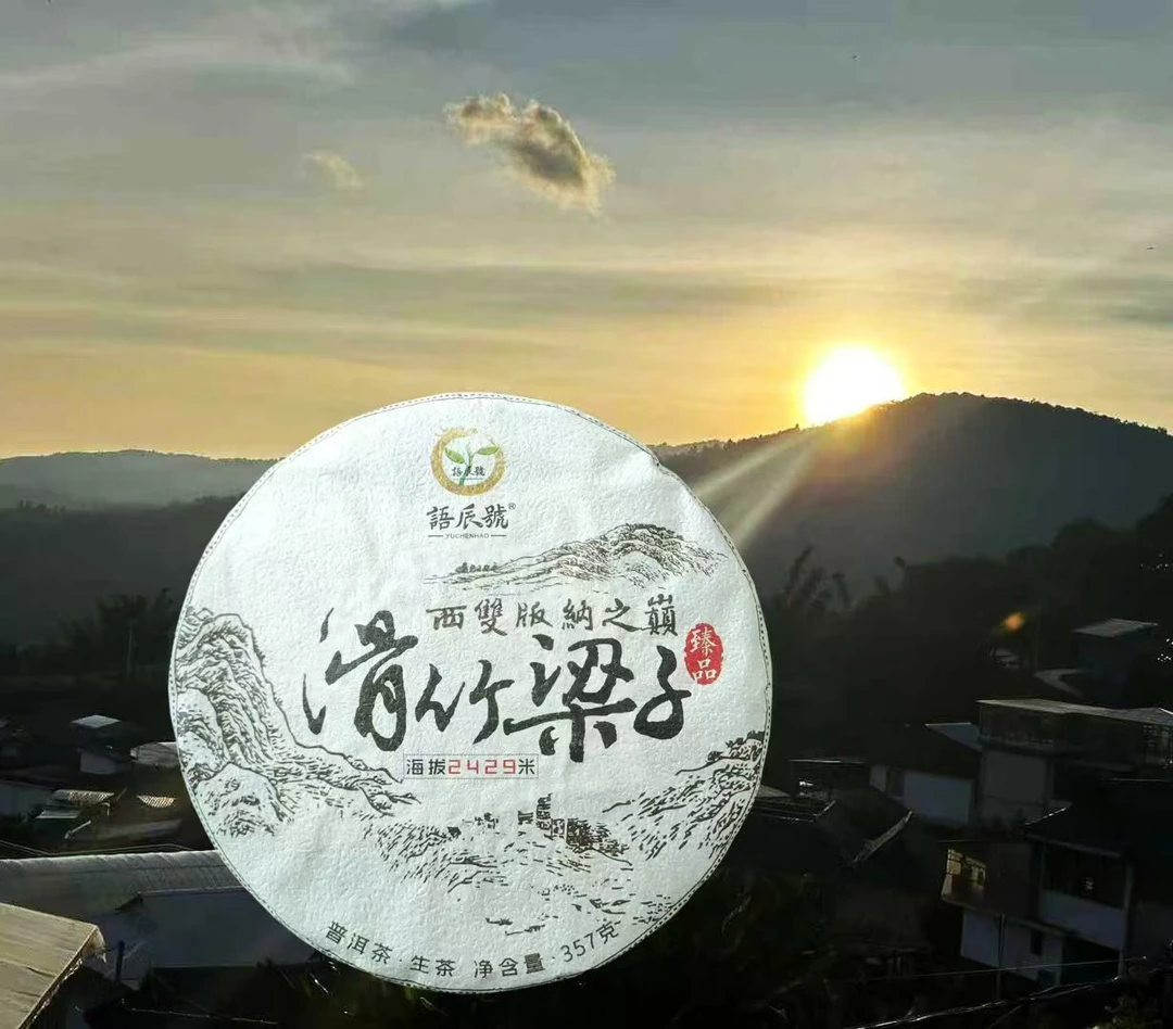 2019 滑竹梁子保塘古树生茶357克/饼