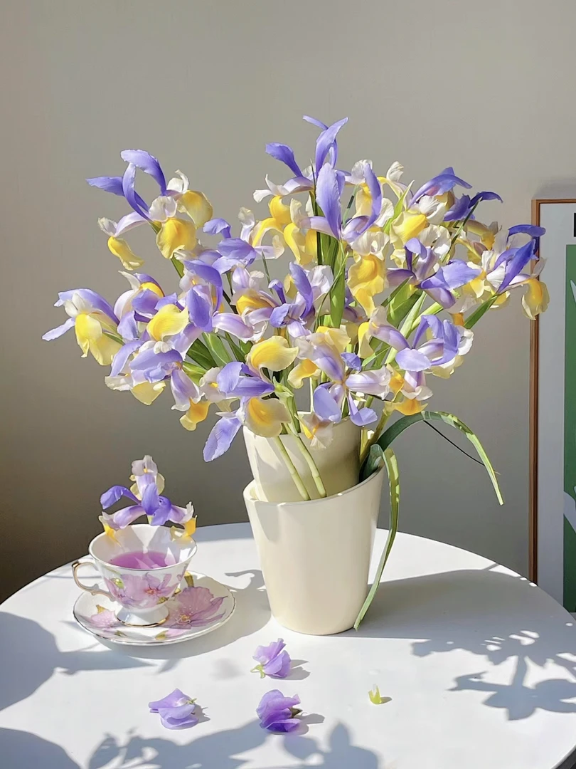 【梦幻鸢尾】谱写灵感乐章