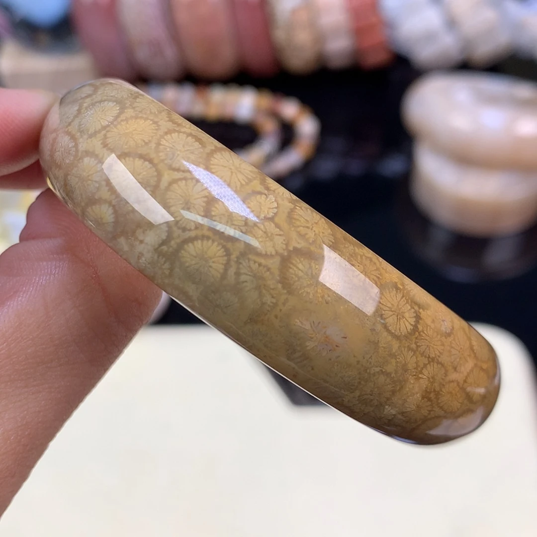 【闪购商品】颈饰未镶嵌硅化珊瑚（珊瑚玉）25号上新56.7圈