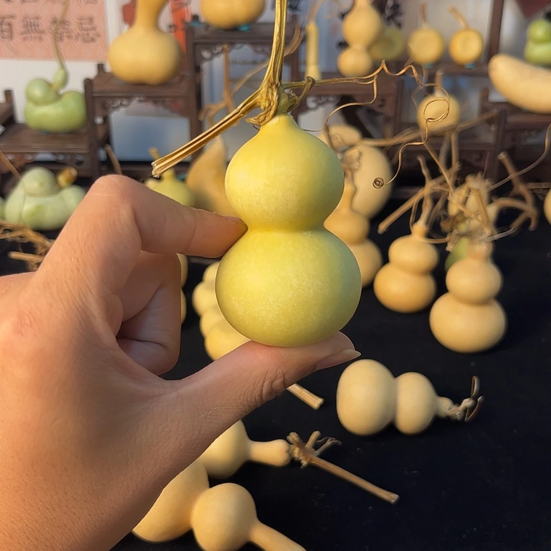 扎****葫芦葫芦葫芦葫芦葫芦