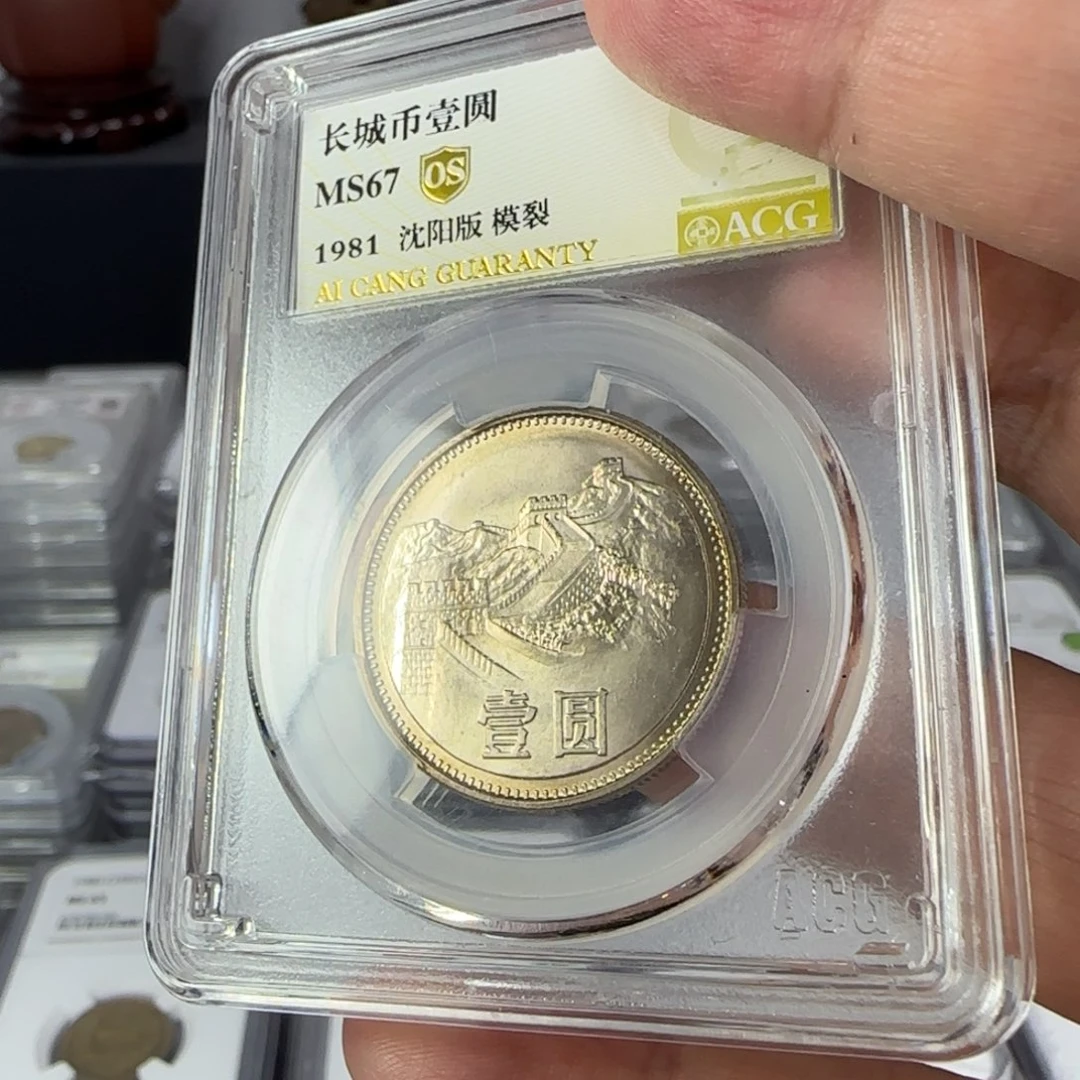 81年一元评级67分，模裂