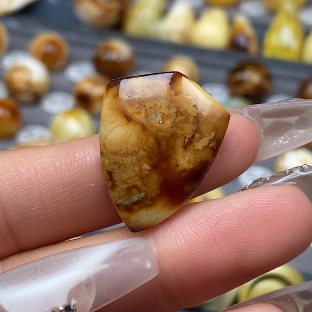 琥珀未镶嵌耳饰盾牌