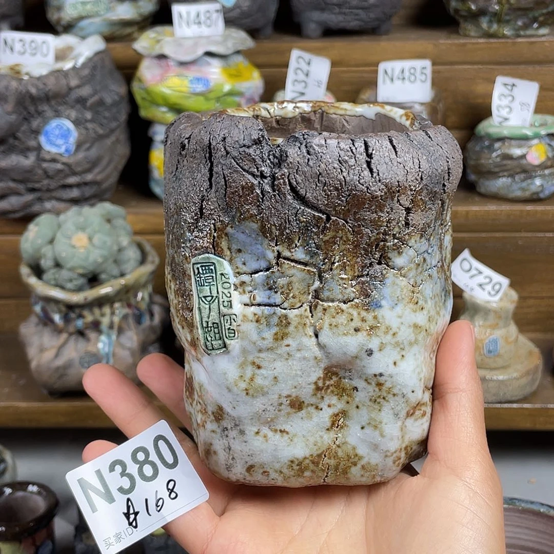 坛子姐花盆 小白孤品 微次 内口6.5百搭