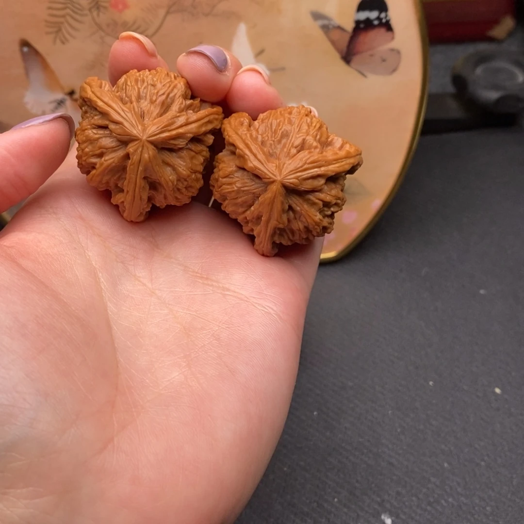 祖*白狮子1111111111