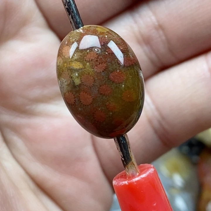 颈饰未镶嵌硅化珊瑚（珊瑚玉）