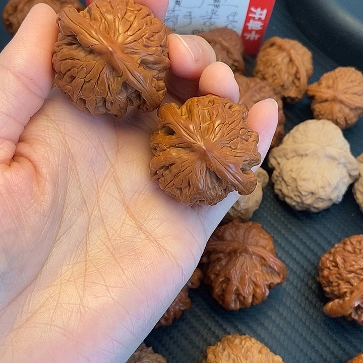 木质类40狮虎兽。
