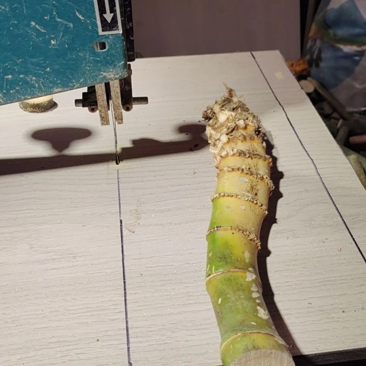 落***否实心竹实心竹实心竹