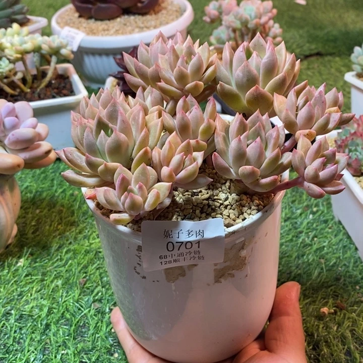 0701啊啊啊啊啊啊啊啊
