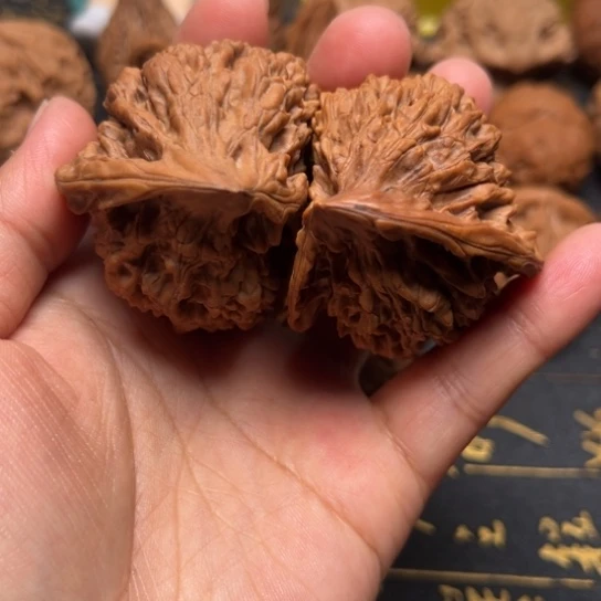 官帽异形半臂全品无修