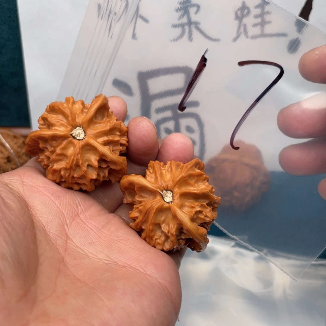核桃手串/手链57357375357375753