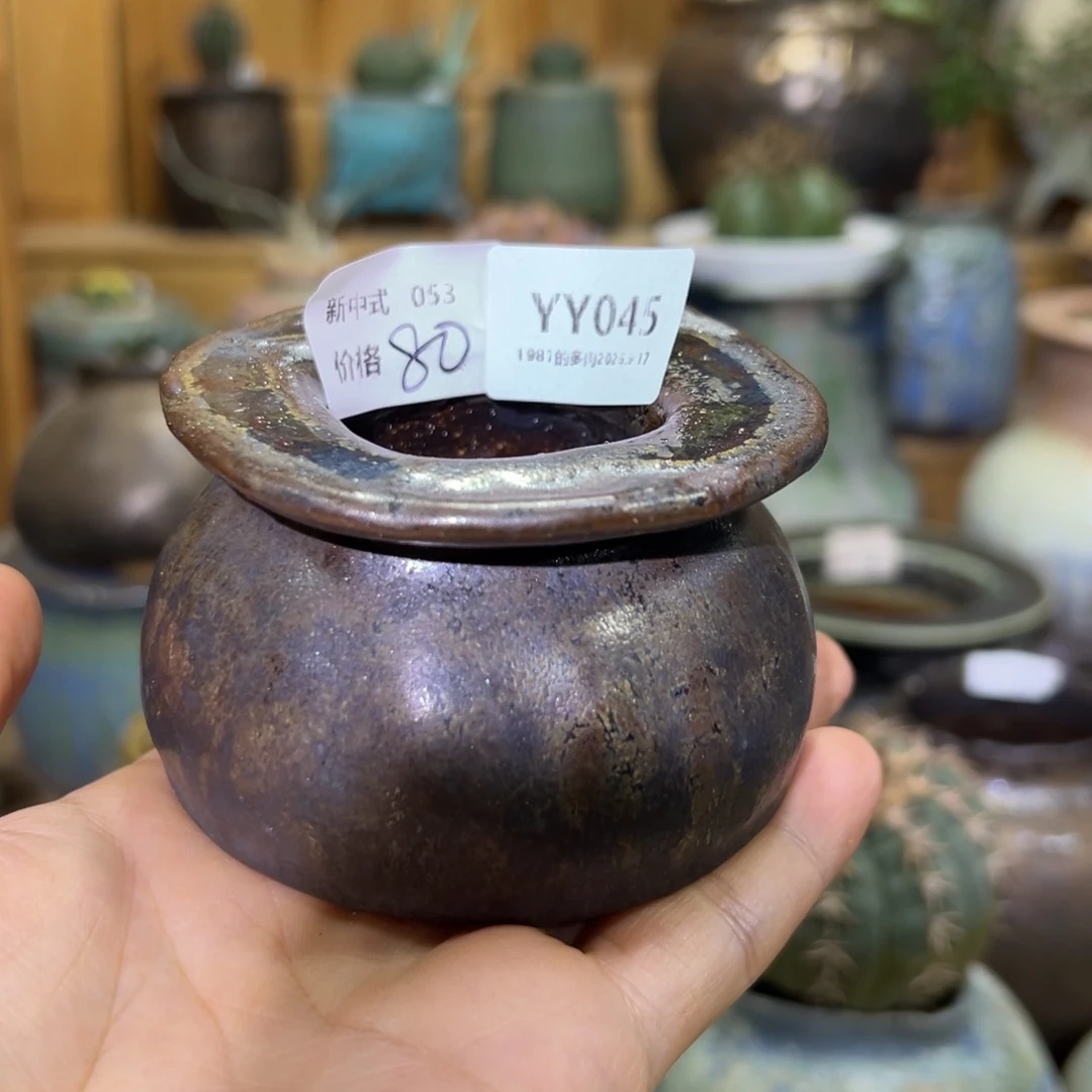 1987花盆yy45小铜钱