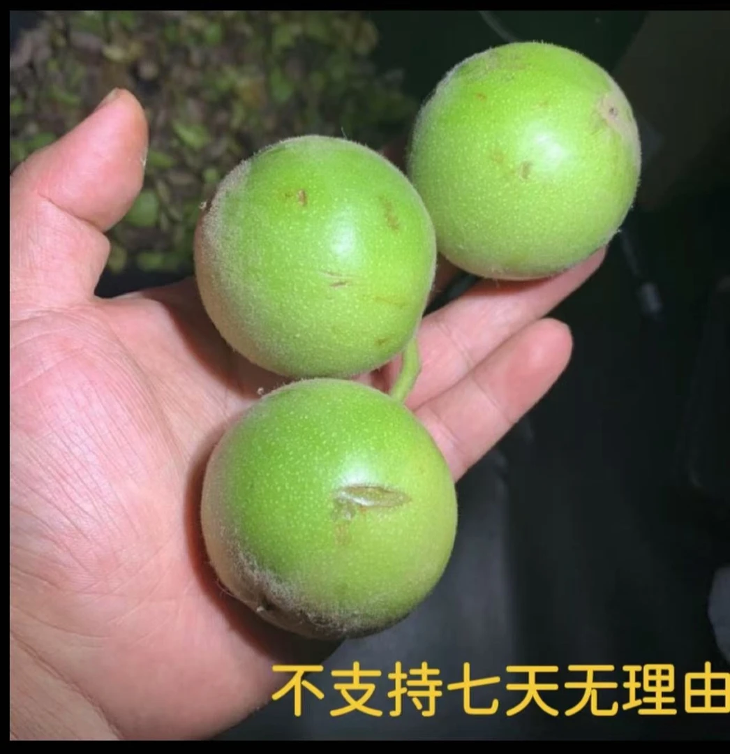 四座楼青皮文玩核桃不退不换