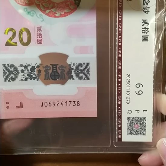 塑料蛇纪念钞 069241738 评级